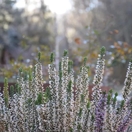 Kiskoertes Vendeghaz Ohuta דירה Háromhuta